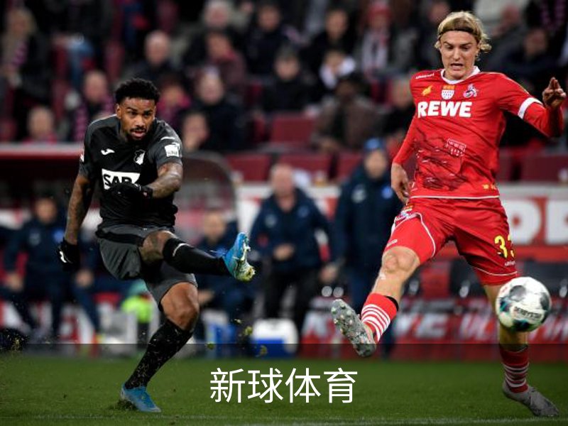 新球体育-全球赛事资讯与实时数据平台|足球篮球网球电竞